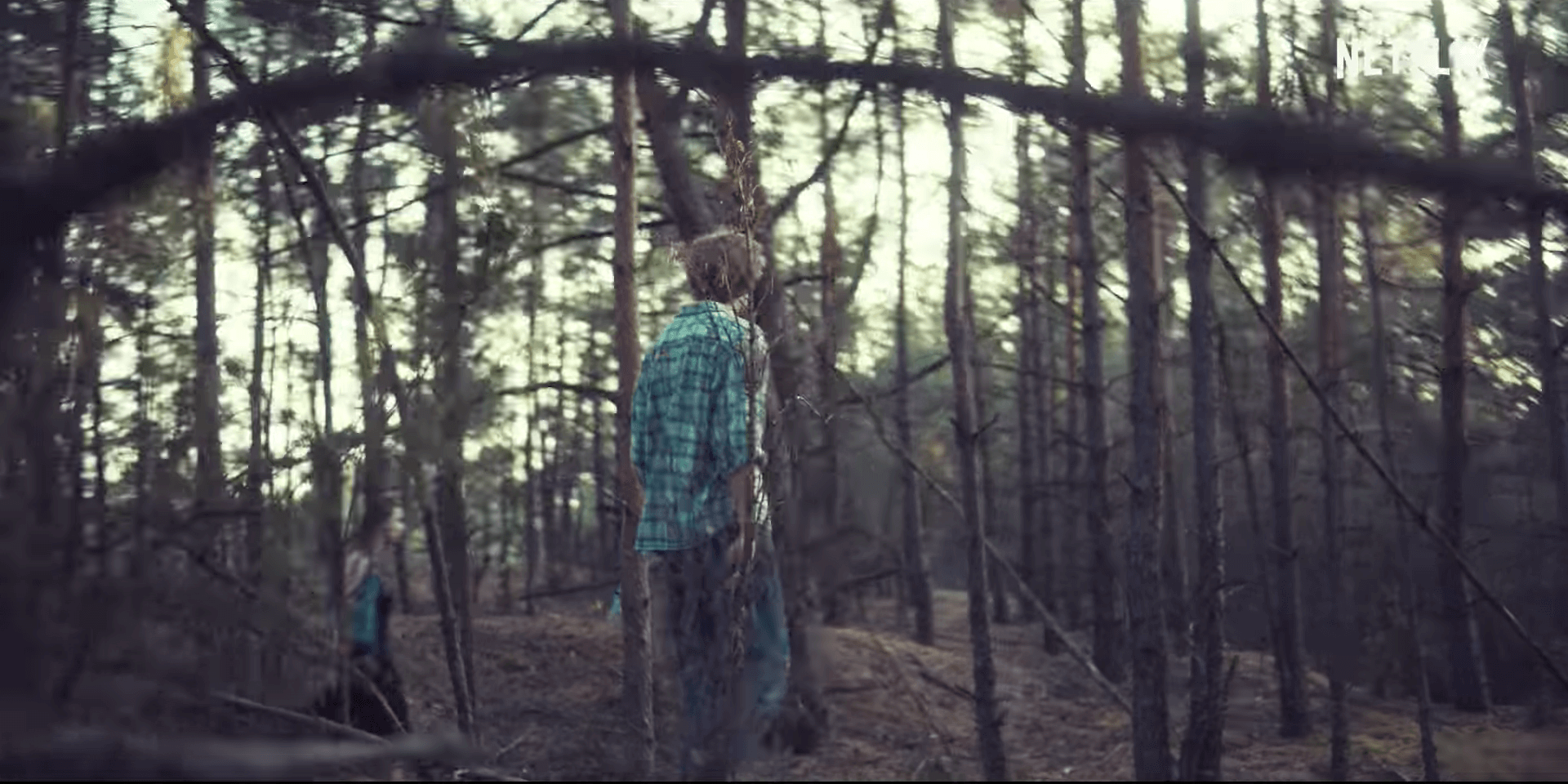 The woods serie Netflix