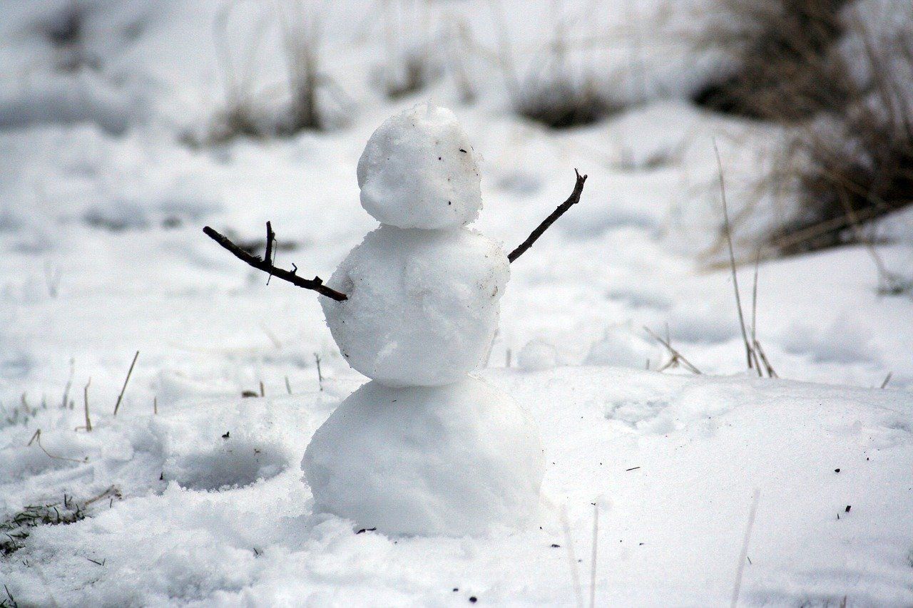 Mejores películas de nieve
