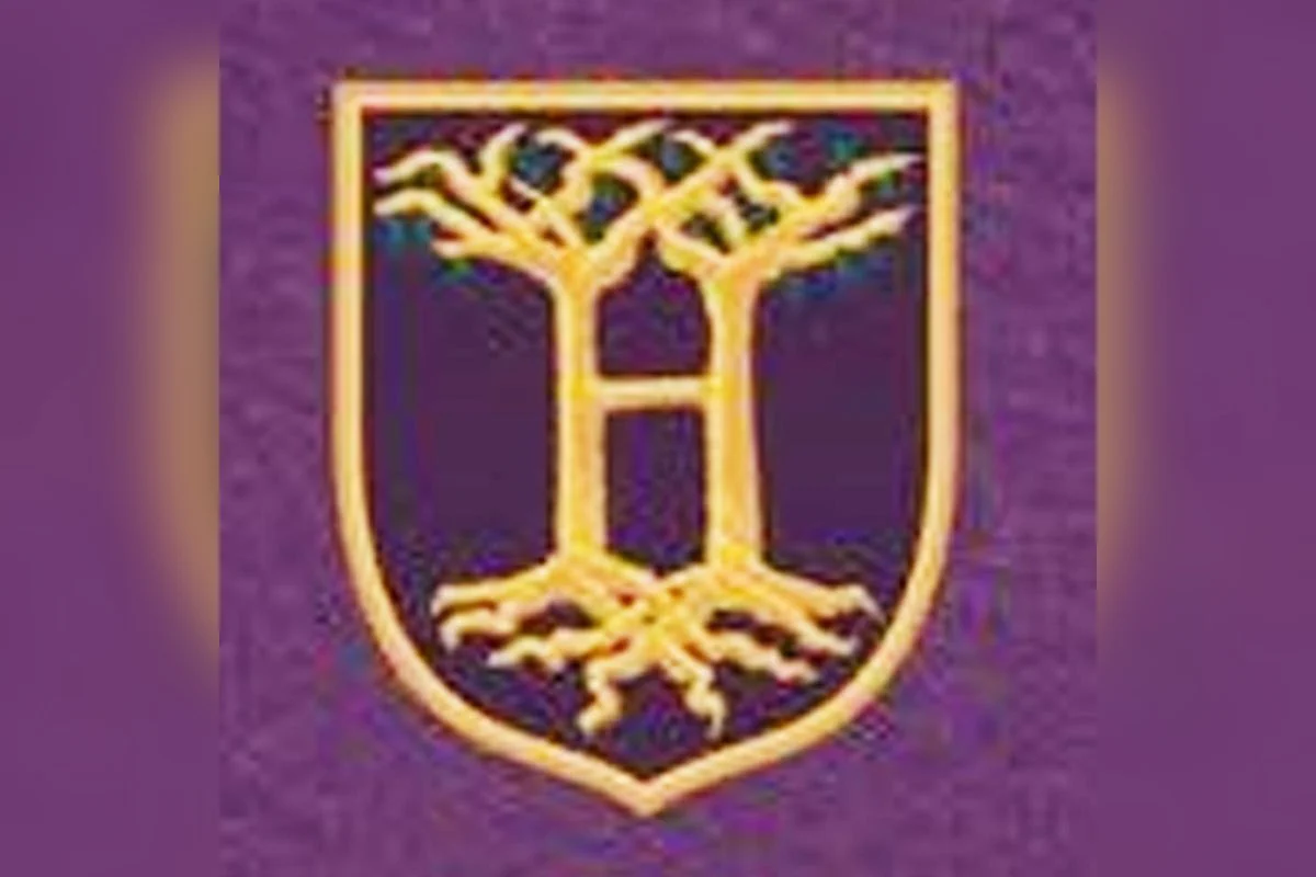 Así son los nuevos escudos de las cuatro casas de Hogwarts en la serie de 'Harry Potter' de HBO