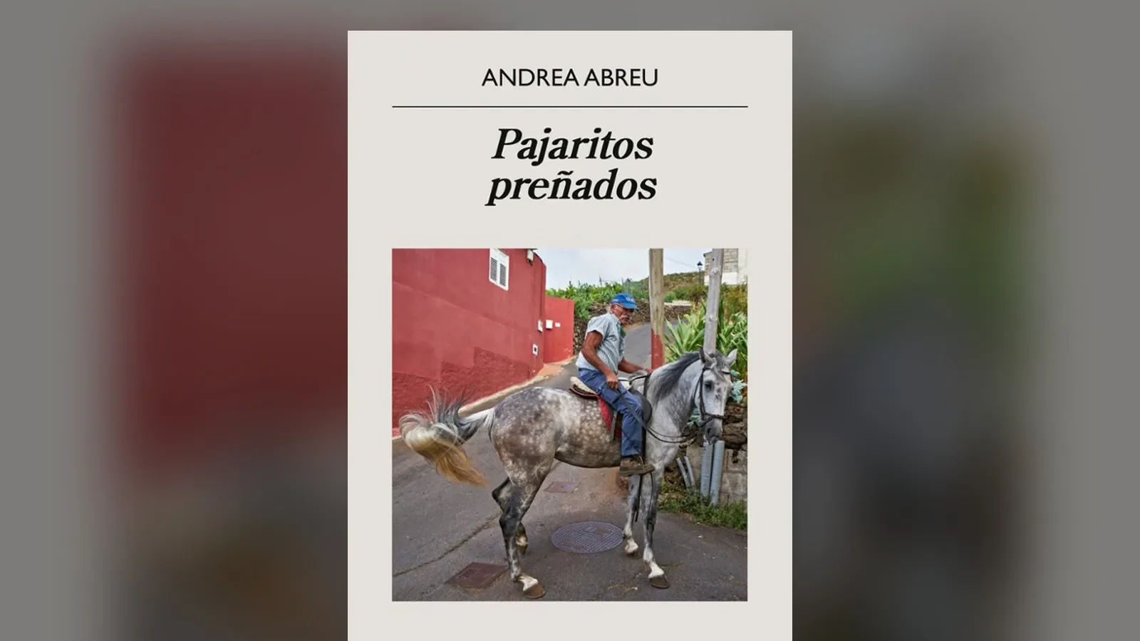 Llevo seis años esperando que Andrea Abreu volviera a escribir, y 'Pajaritos preñados' ha merecido cada uno de ellos