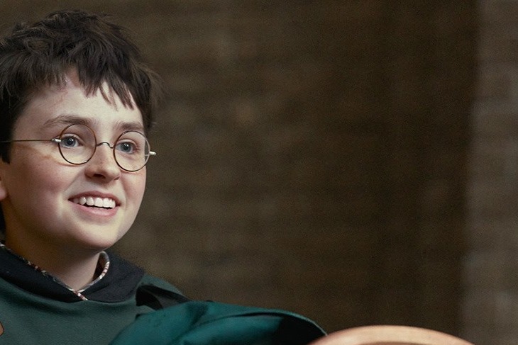 Dominic McLaughlin como Harry Potter (HBO Max)