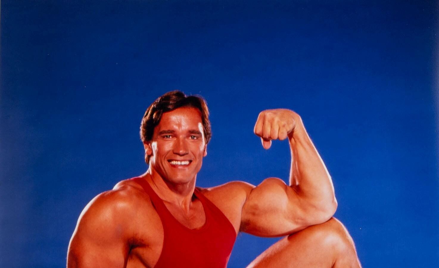 Arnold Schwarzenegger, 1985 (Harry Langdon, Wikimedia Commons, CC0)