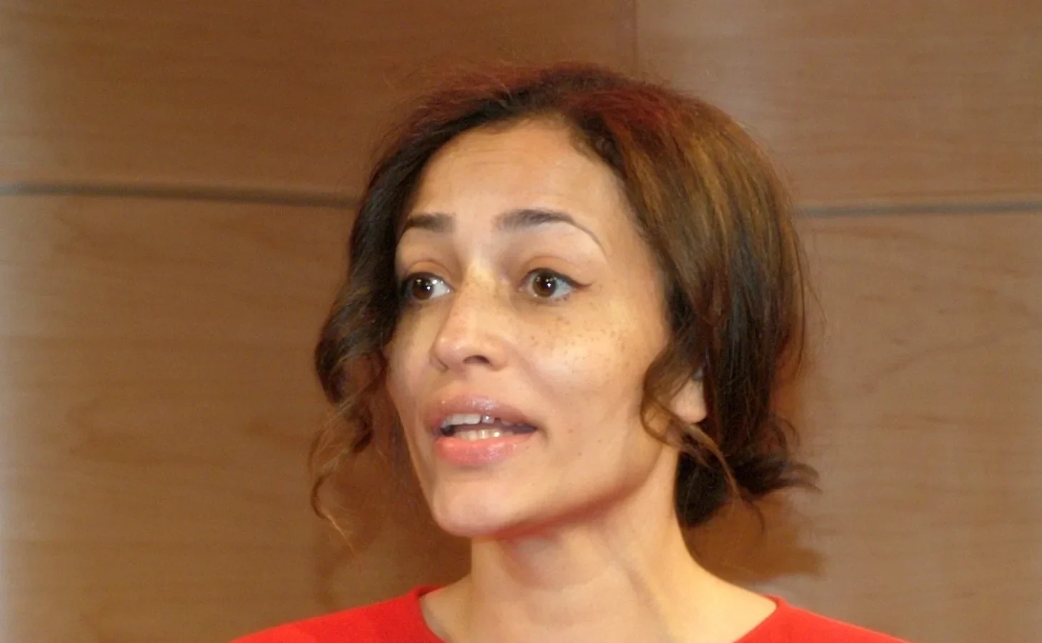 Zadie Smith, Paul B. Preciado y Lydia Cacho encabezan la tercera edición del Festival de las Ideas de Madrid