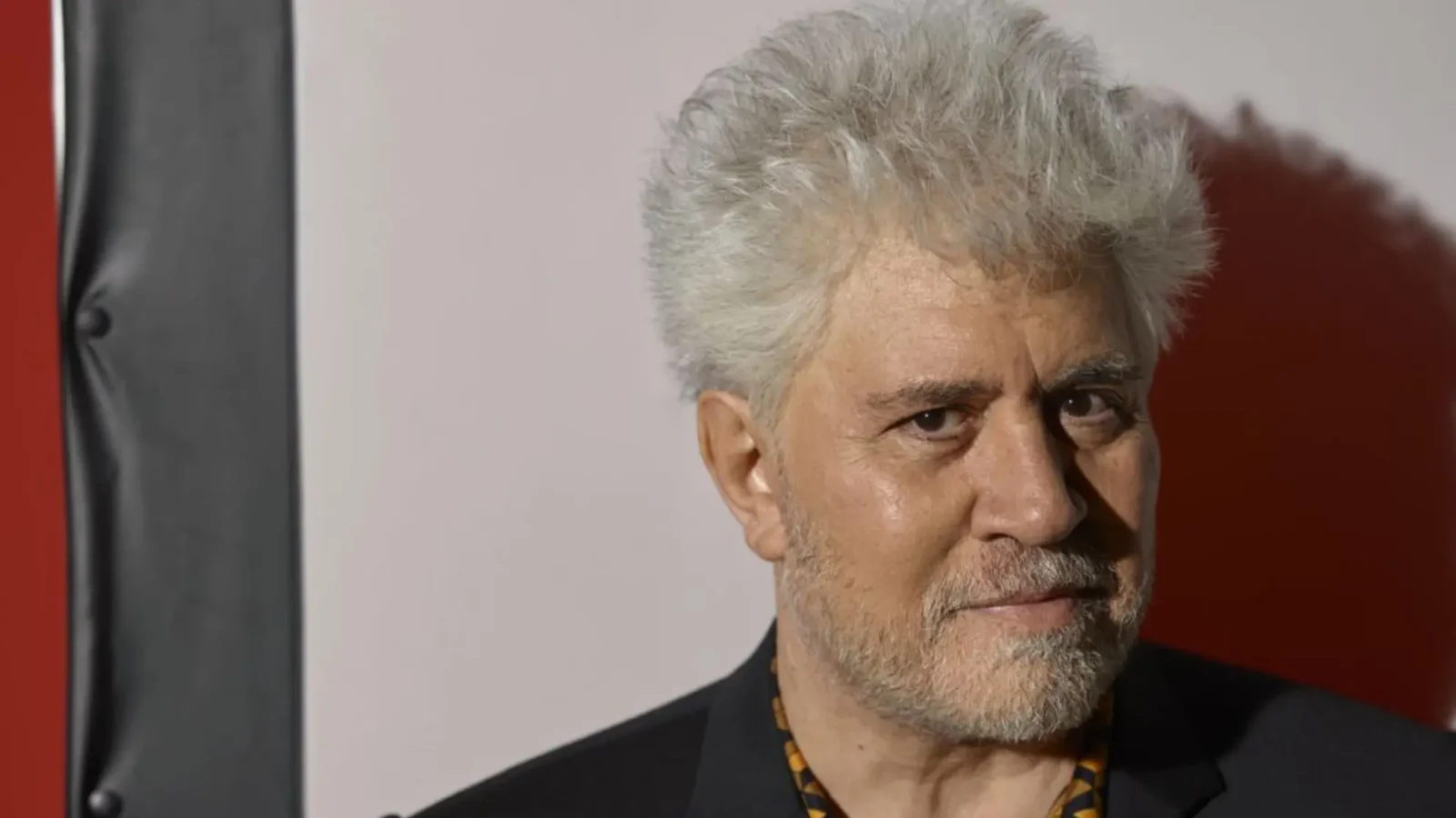 Pedro Almodóvar, retrato, crédito EFE/Alfaguara/Nico Bustos