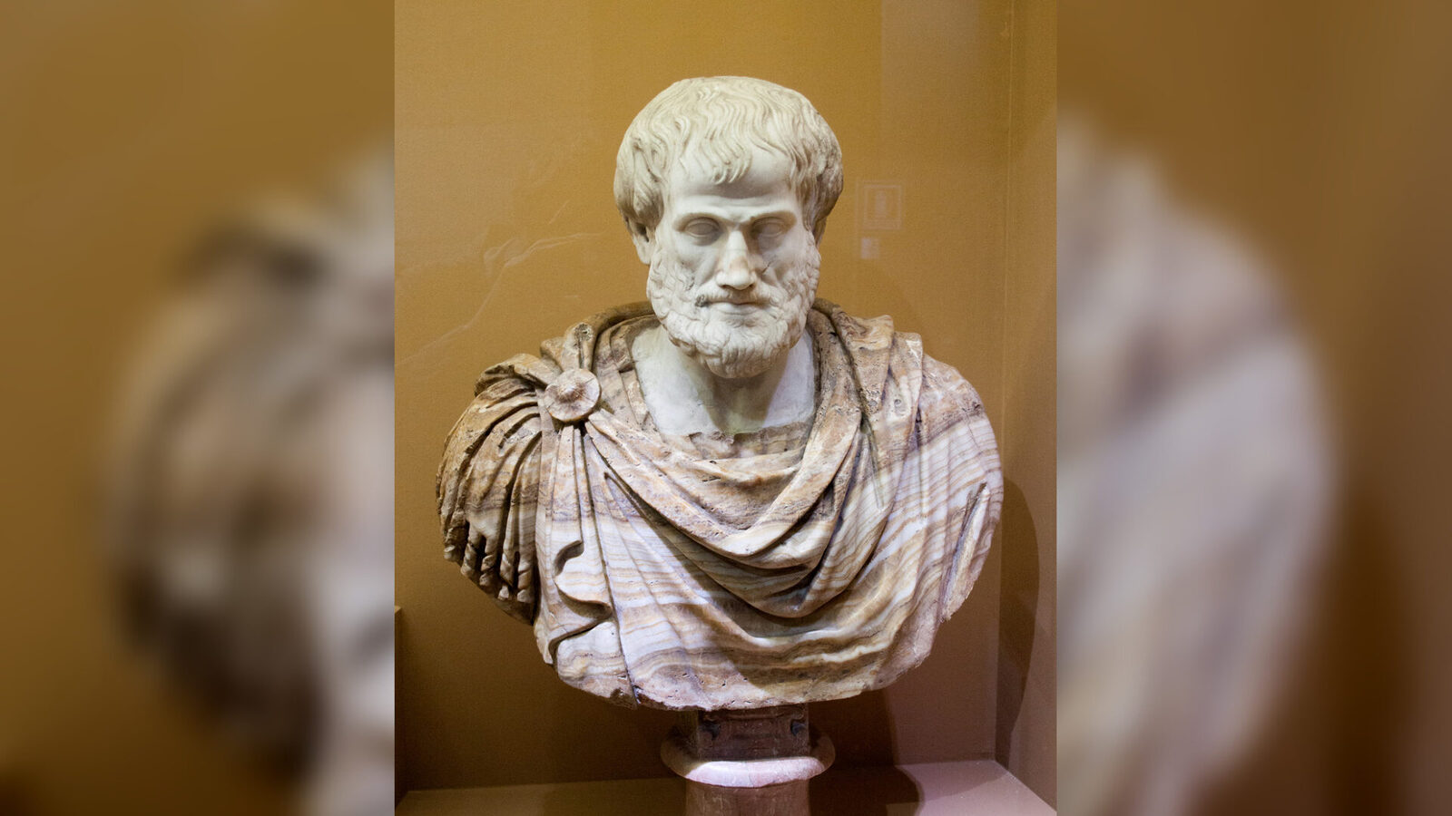 Busto de Aristoteles, Coliseo