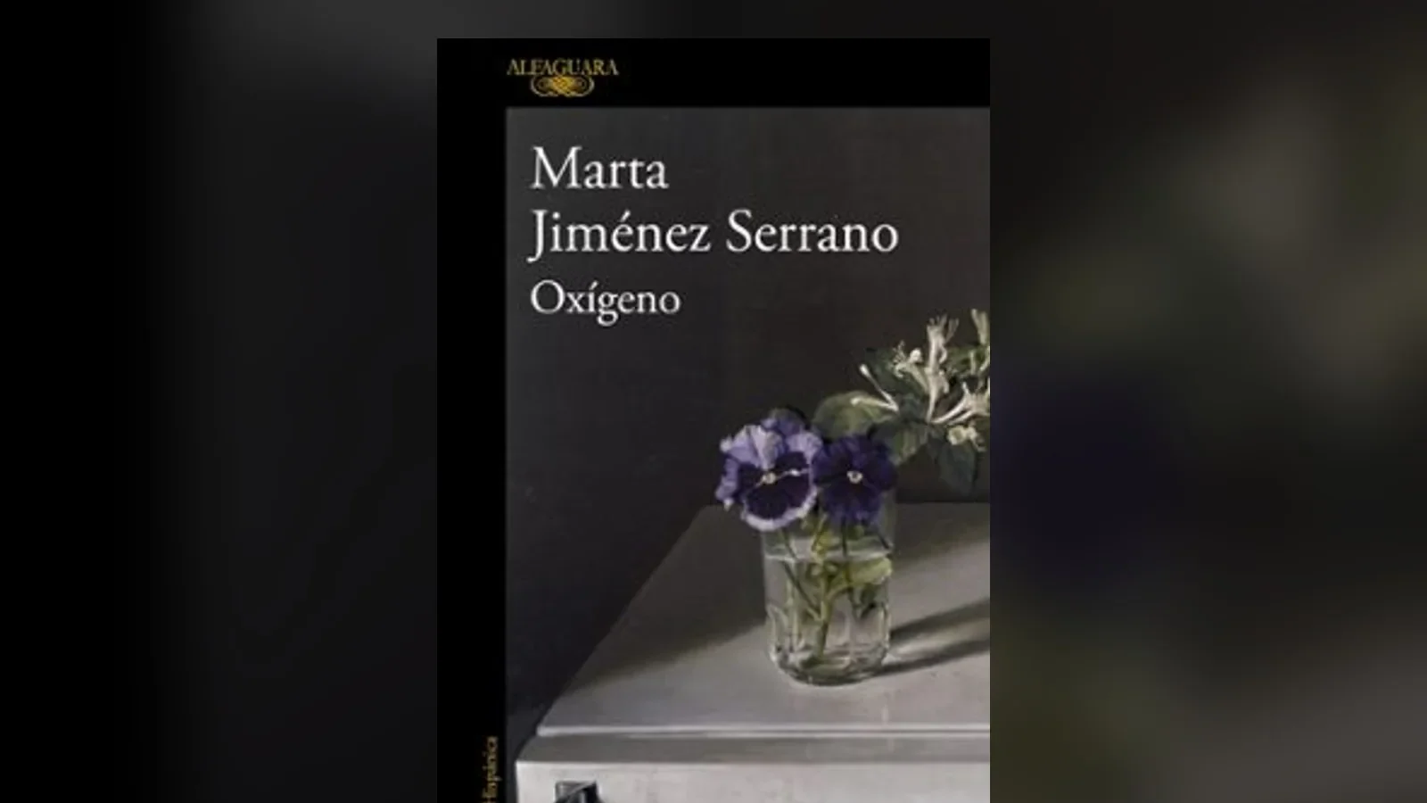 4 libros para leer este puente del Pilar 2026 y desconectar del mundo
