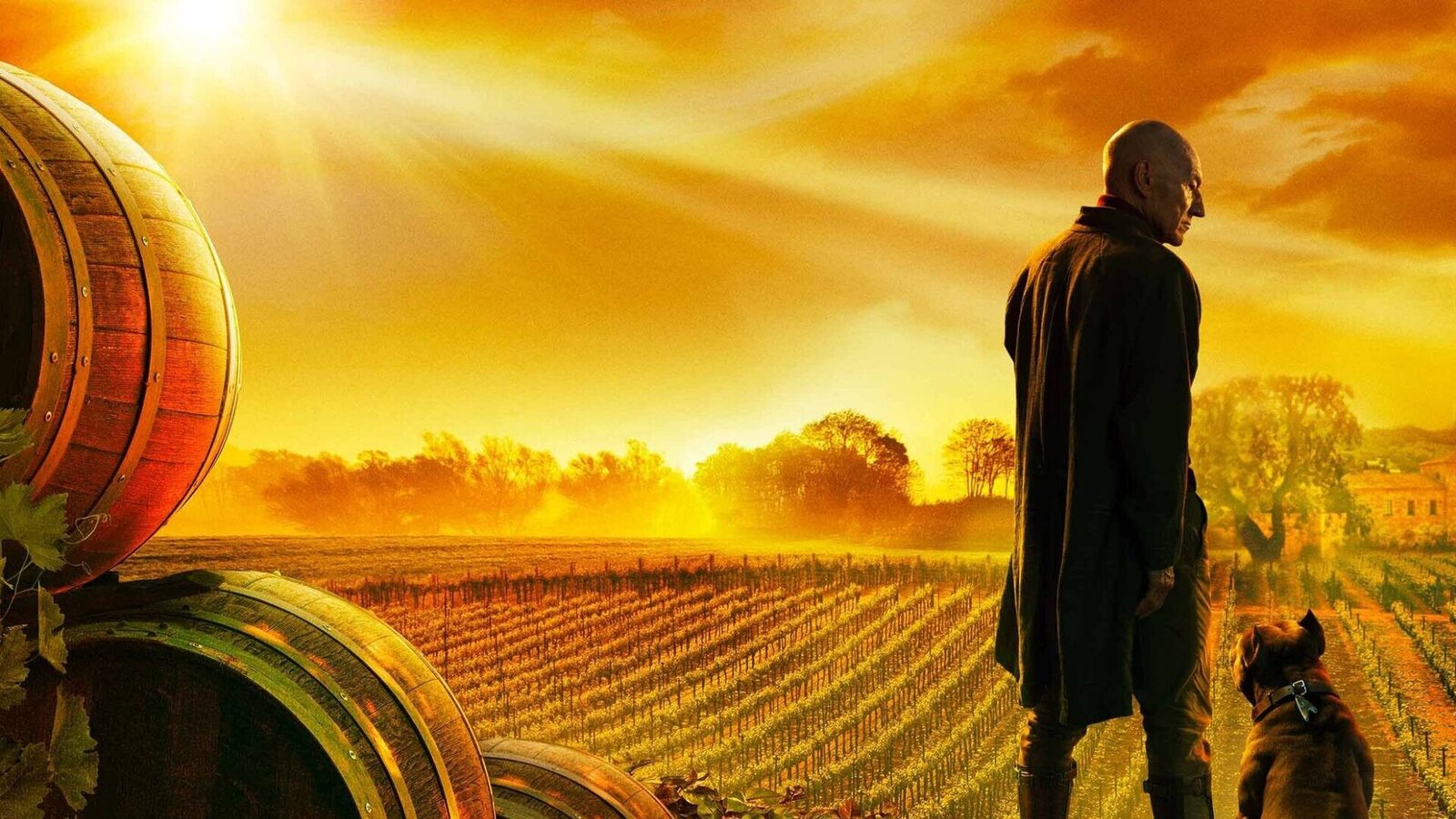 Patrick Stewart como Jean-Luc Picard, imagen oficial de Star Trek Picard