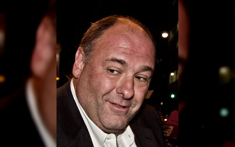 Tony Soprano, personaje interpretado por James Gandolfini en Los Soprano